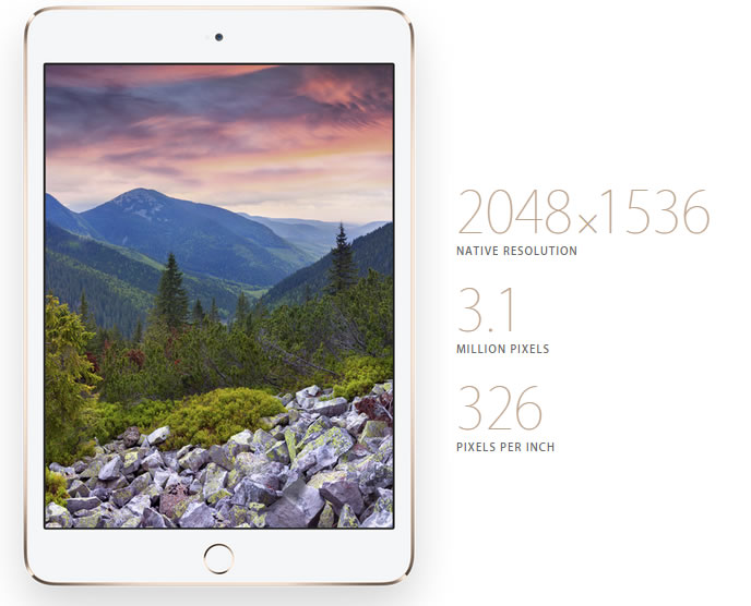 Apple iPad Mini 3 - Display
